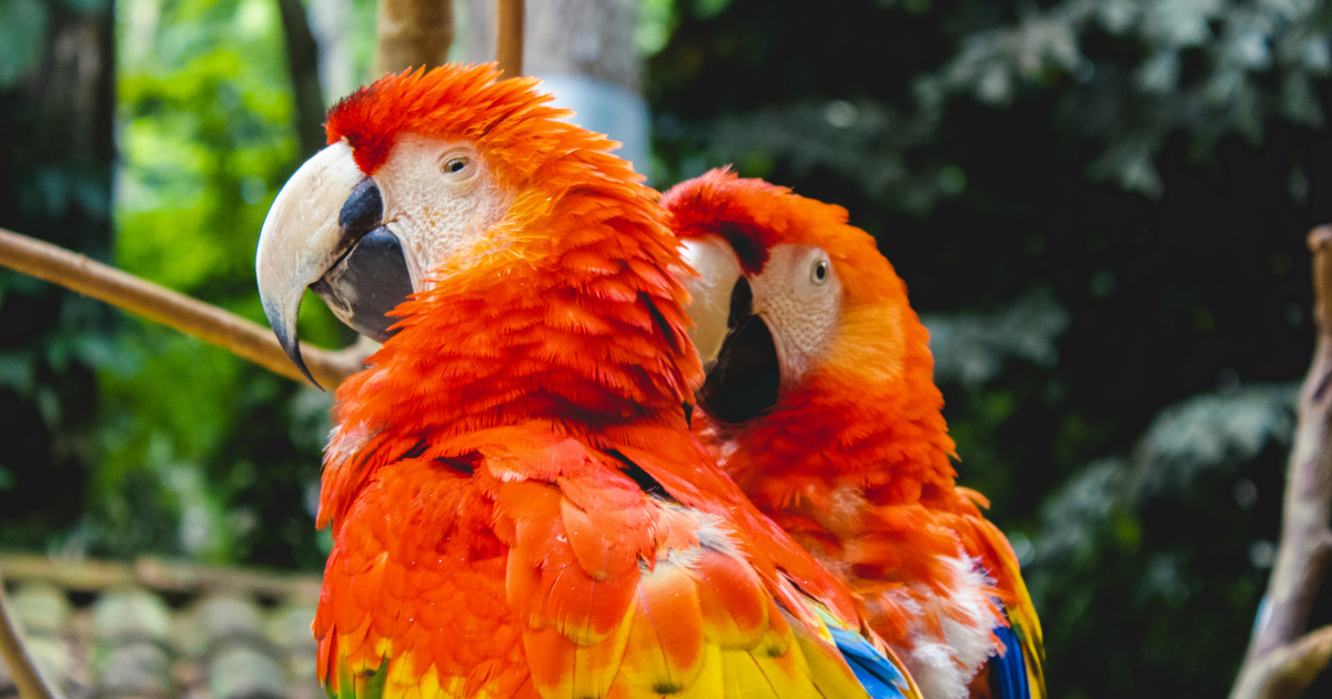Best places to visit in Honduras